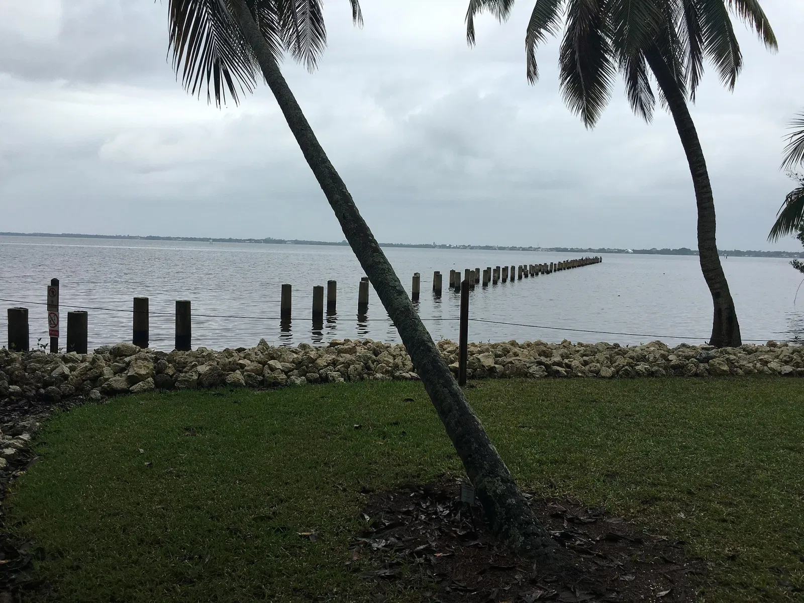 Edison and Ford Winter Estates