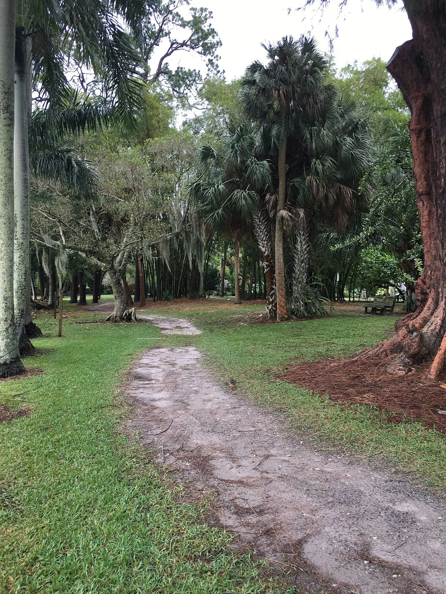 Edison and Ford Winter Estates