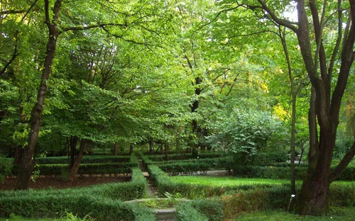 Botanical Garden Parma