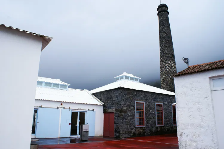 Arts and Marine Science Center