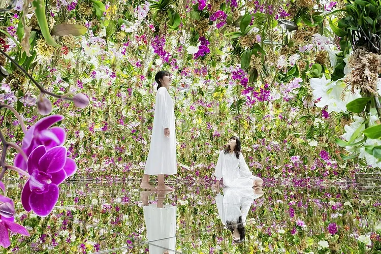 TeamLab Planets TOKYO DMM.com