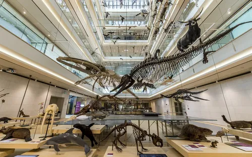 MUSE - Museo delle Scienze