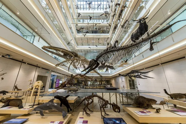 MUSE - Museo delle Scienze