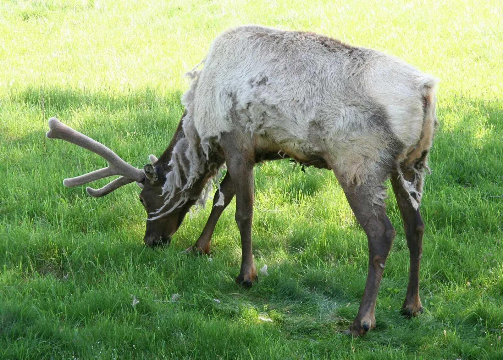 Oxbow Park & Zollman Zoo