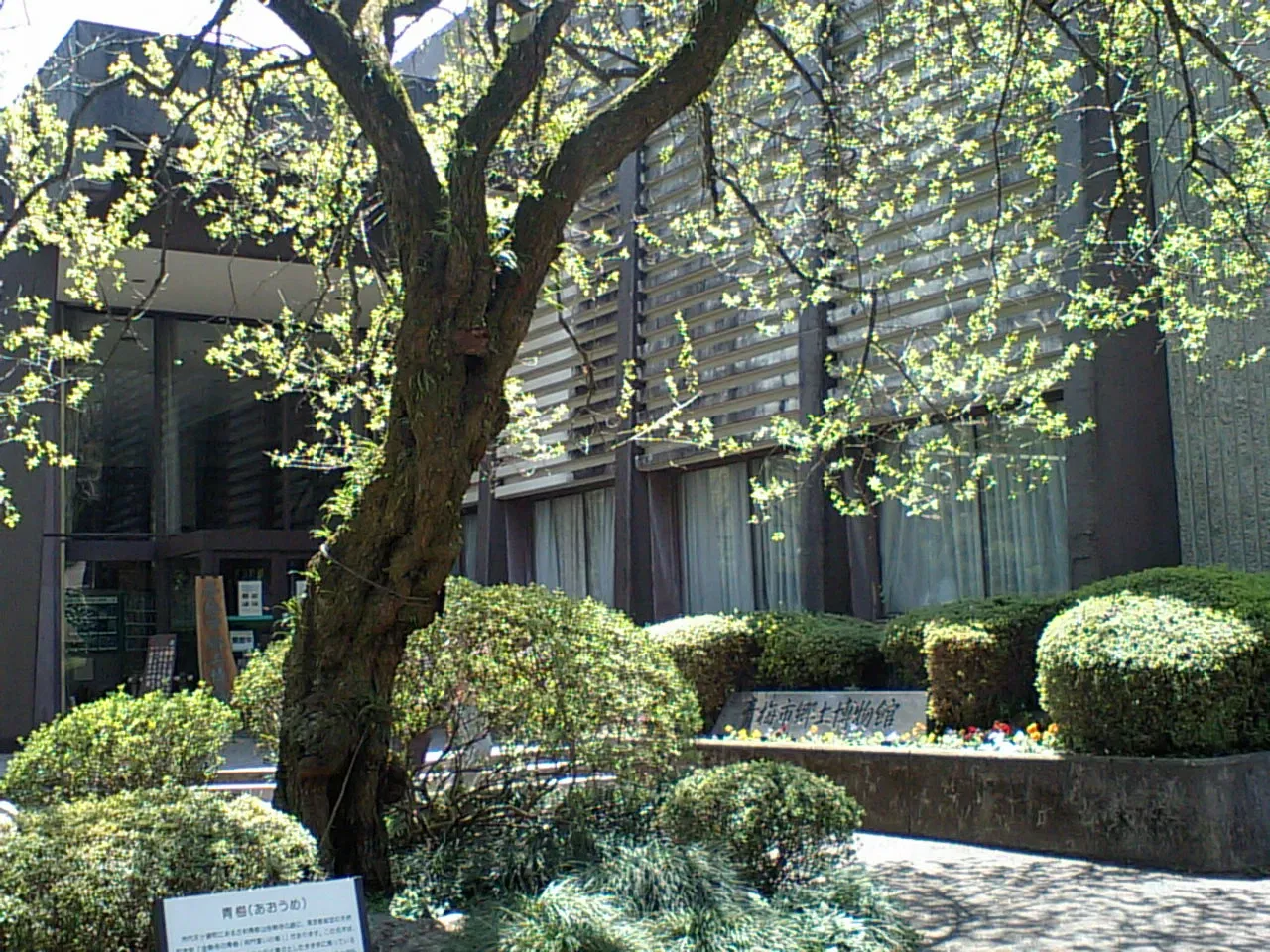 Ome Municipal Museum of Provincial History