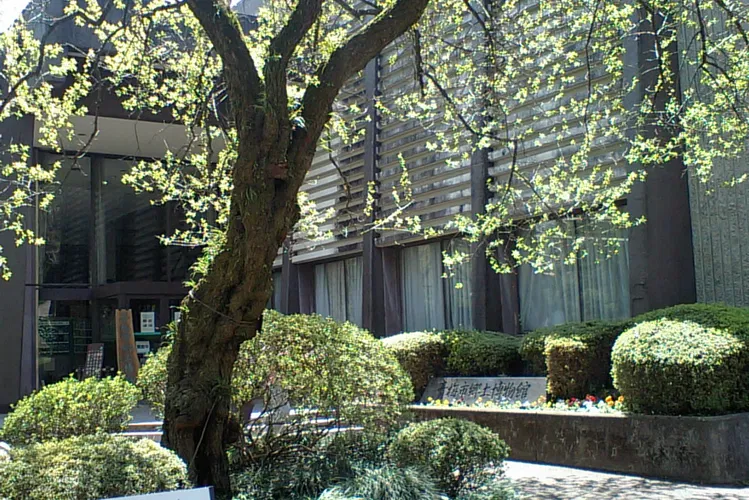 Ome Municipal Museum of Provincial History