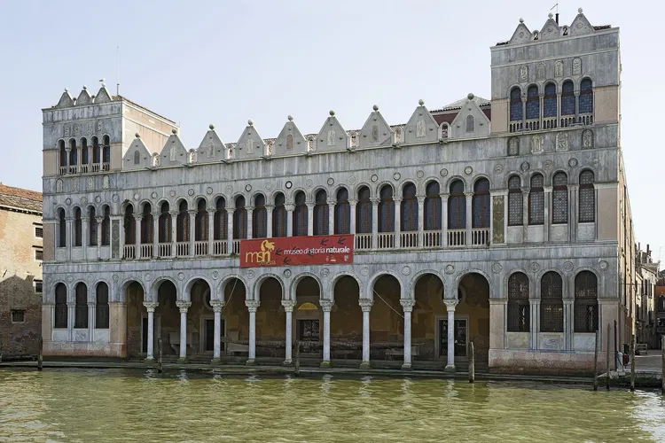 Museo di Storia Naturale di Venezia
