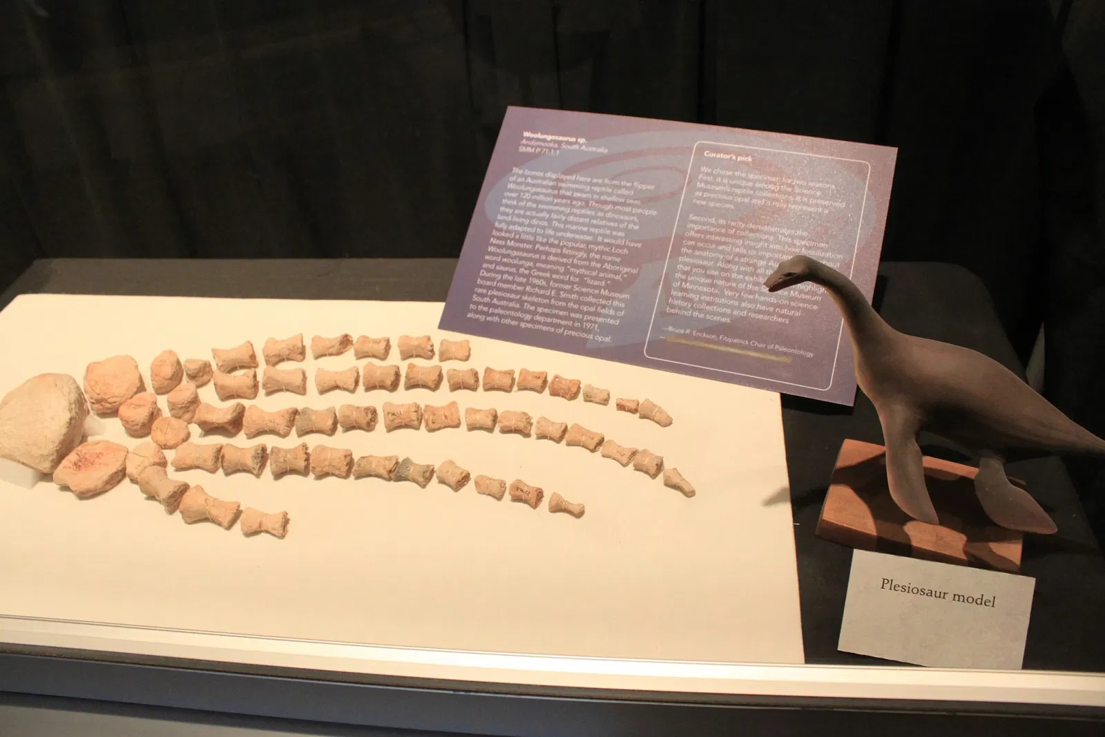 Science Museum of Minnesota