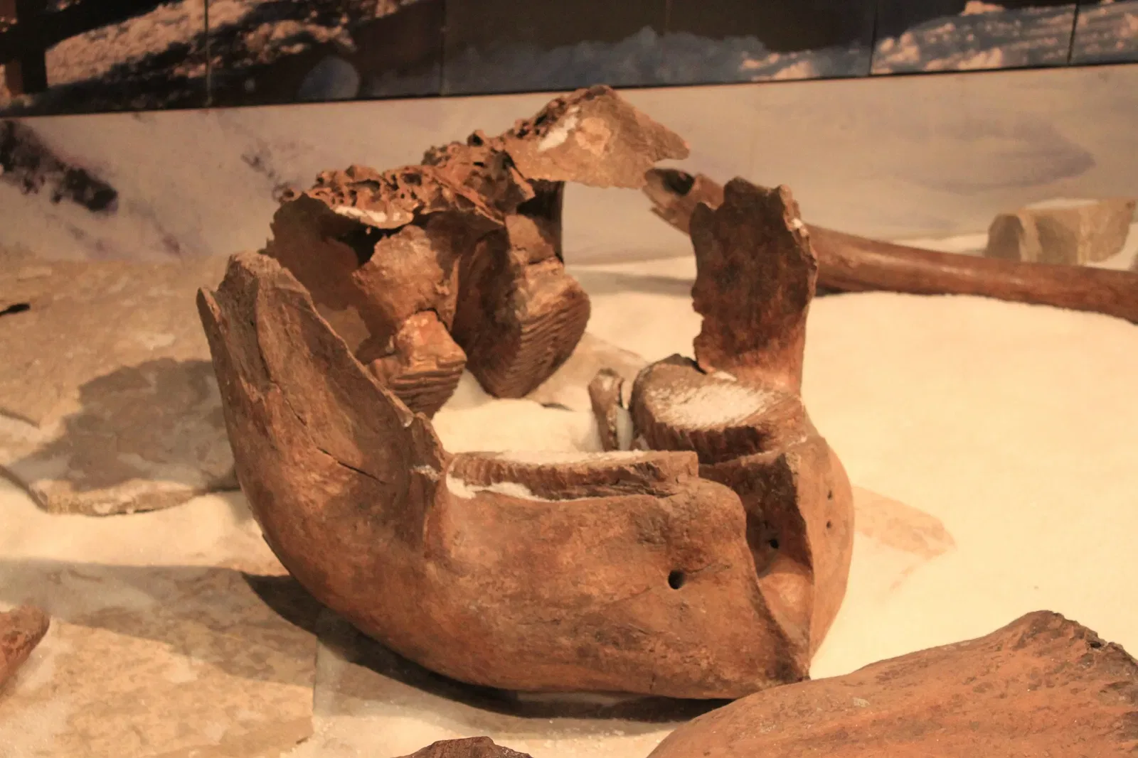 Science Museum of Minnesota