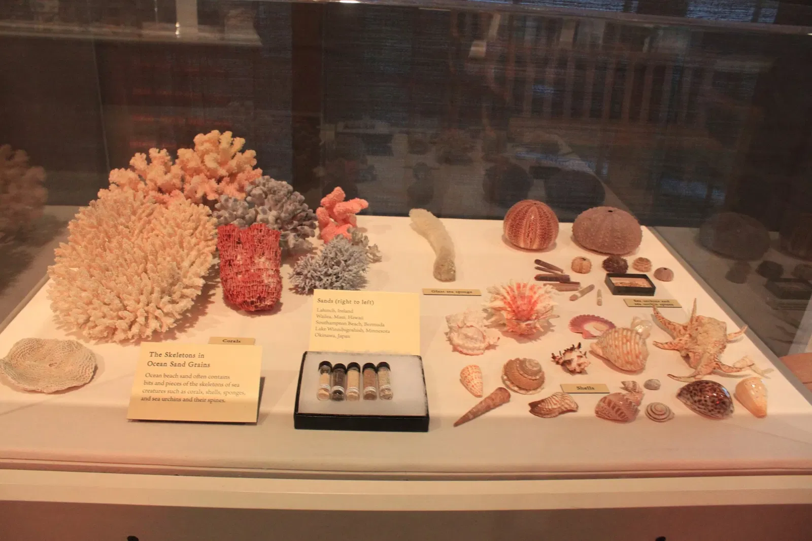 Science Museum of Minnesota