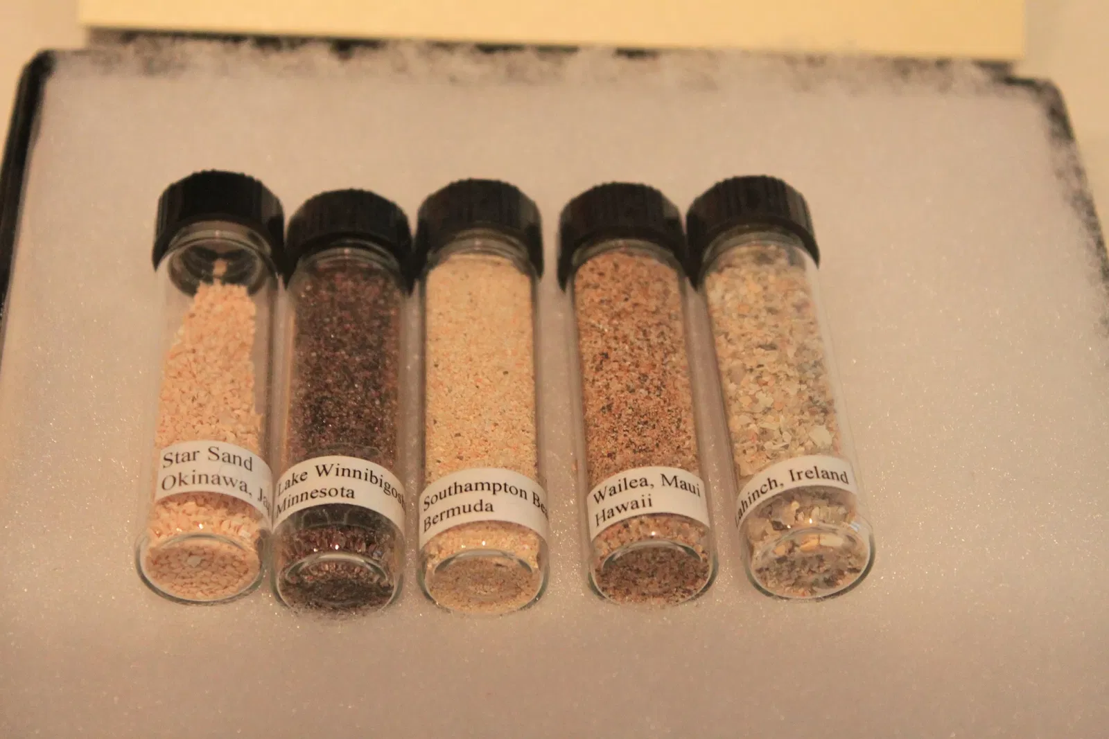 Science Museum of Minnesota