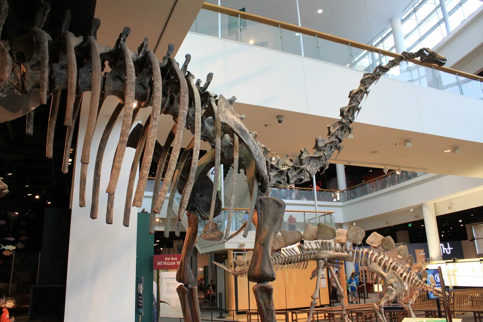 Science Museum of Minnesota