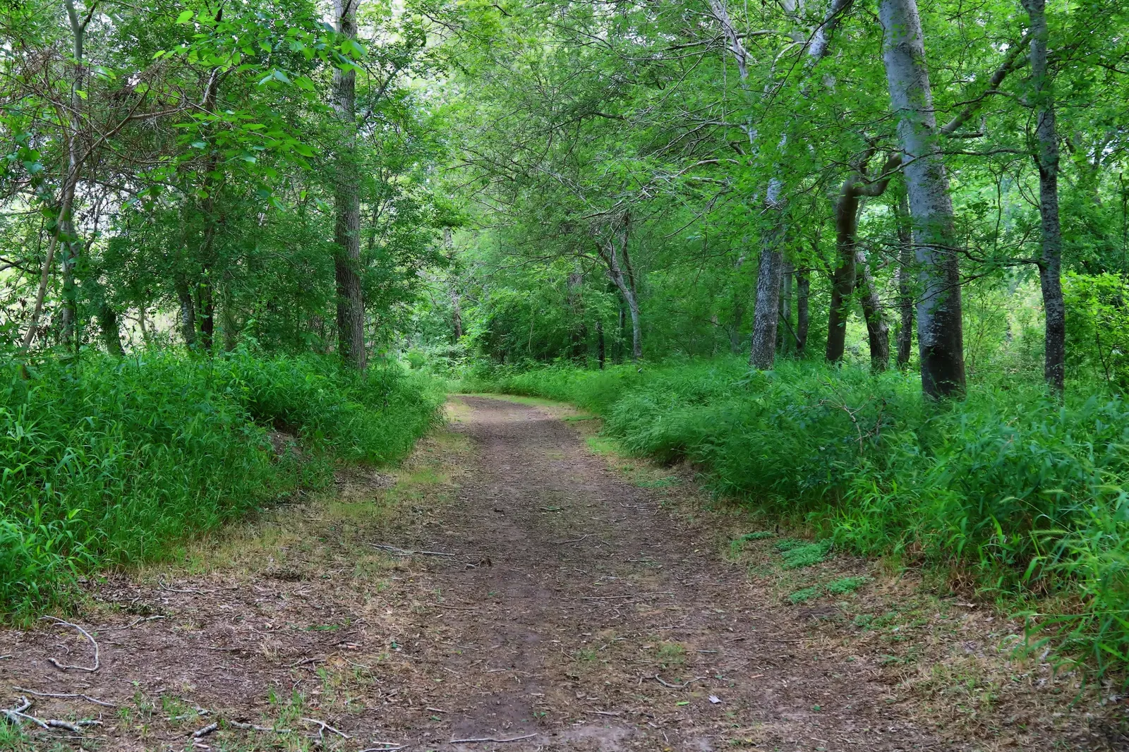 Goliad State Park and Historic Site