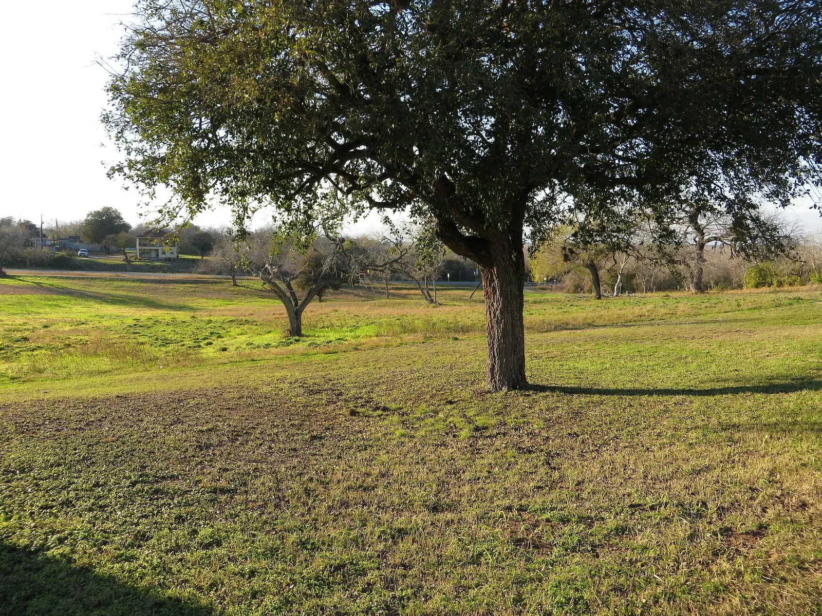 Presidio La Bahia Museum