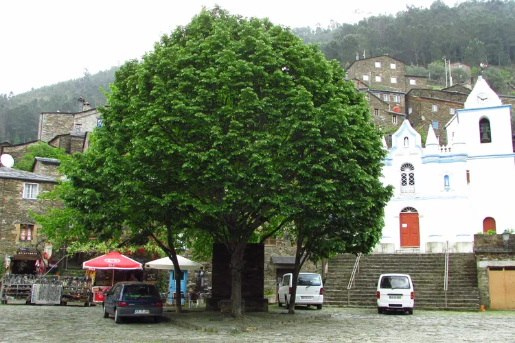 Historical Village of Piódão