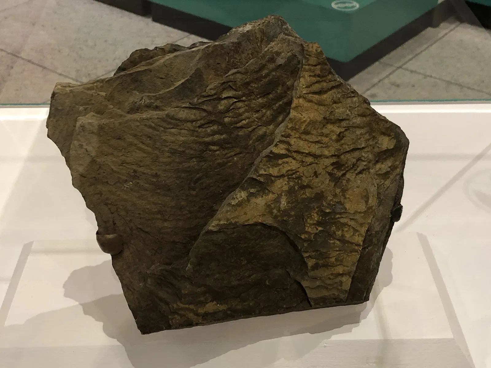 New Jersey State Museum