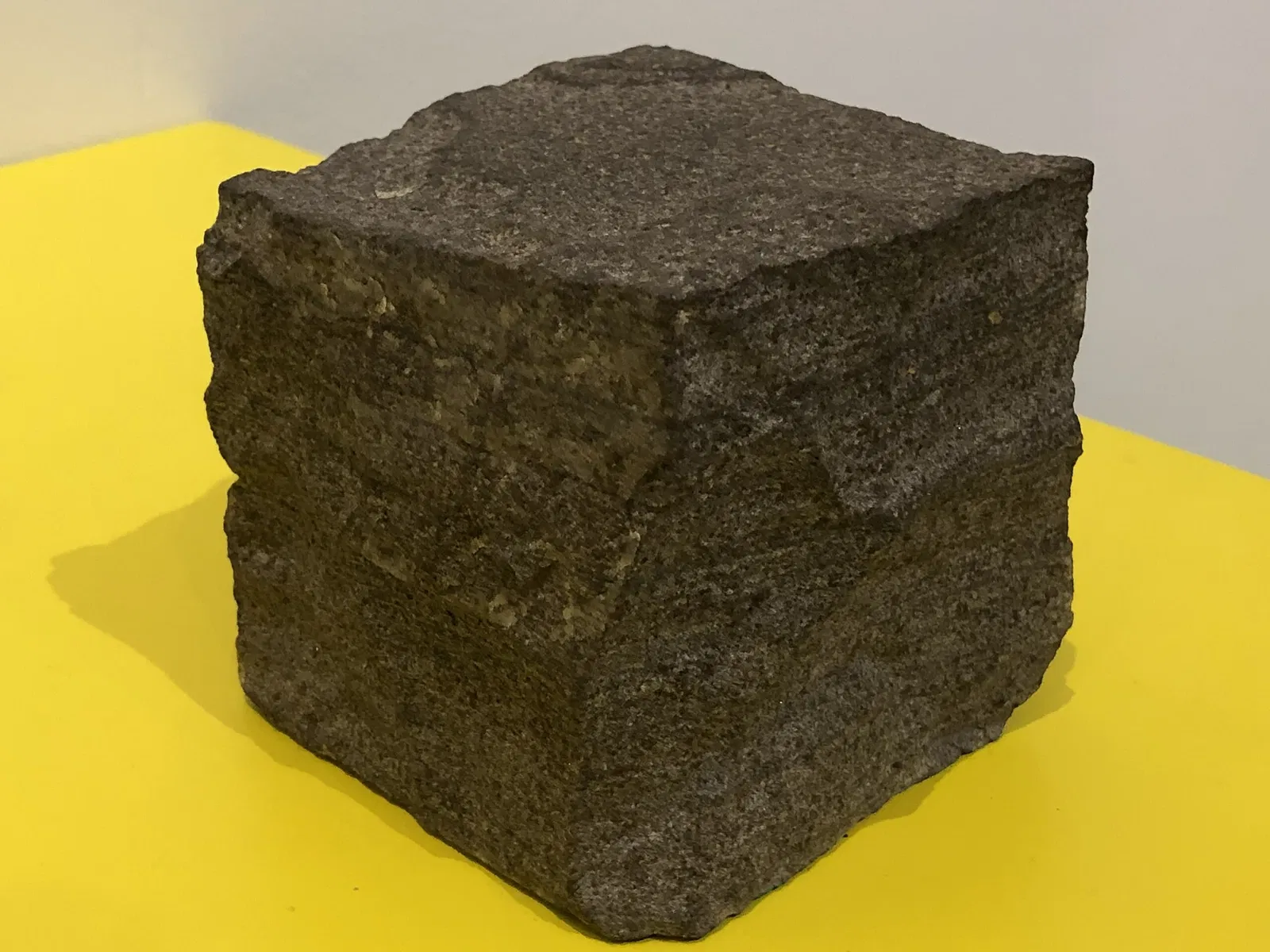 New Jersey State Museum