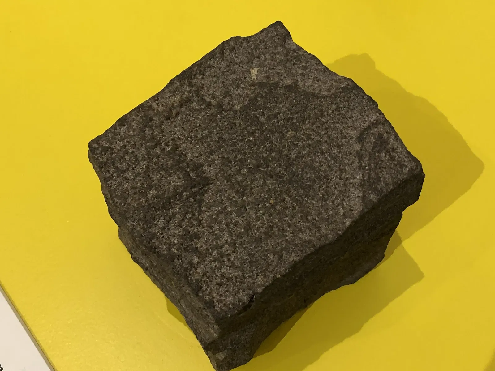 New Jersey State Museum