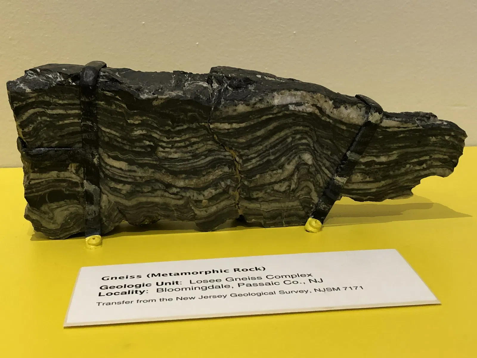 New Jersey State Museum