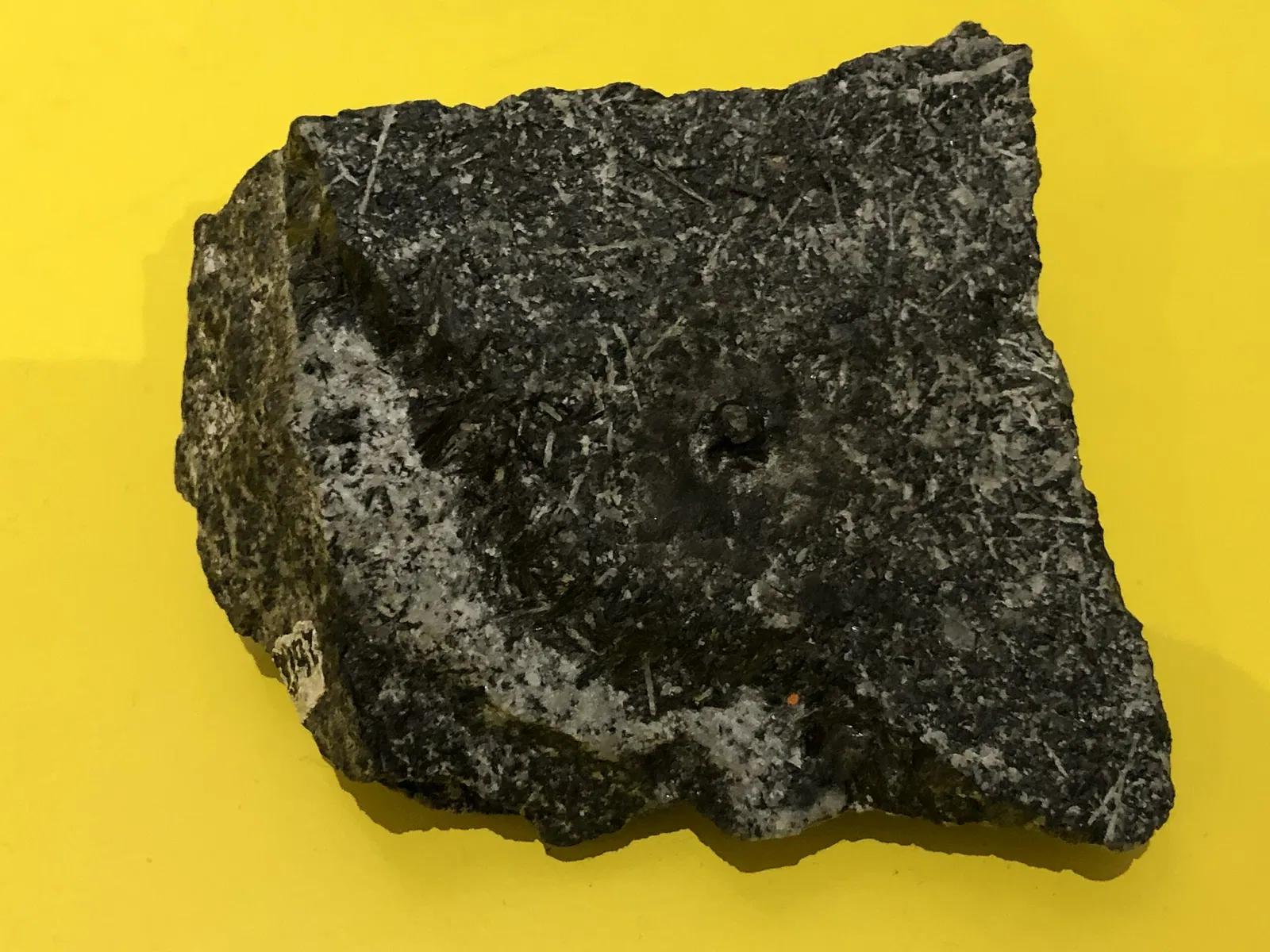 New Jersey State Museum