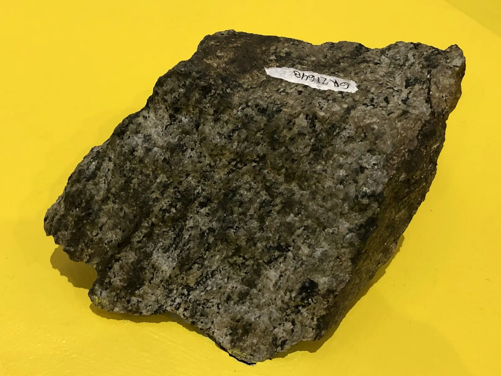 New Jersey State Museum