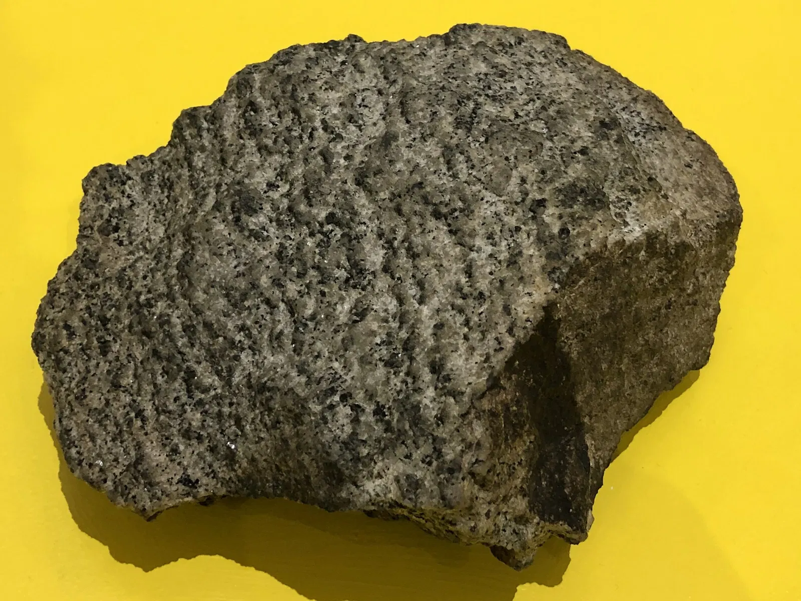 New Jersey State Museum