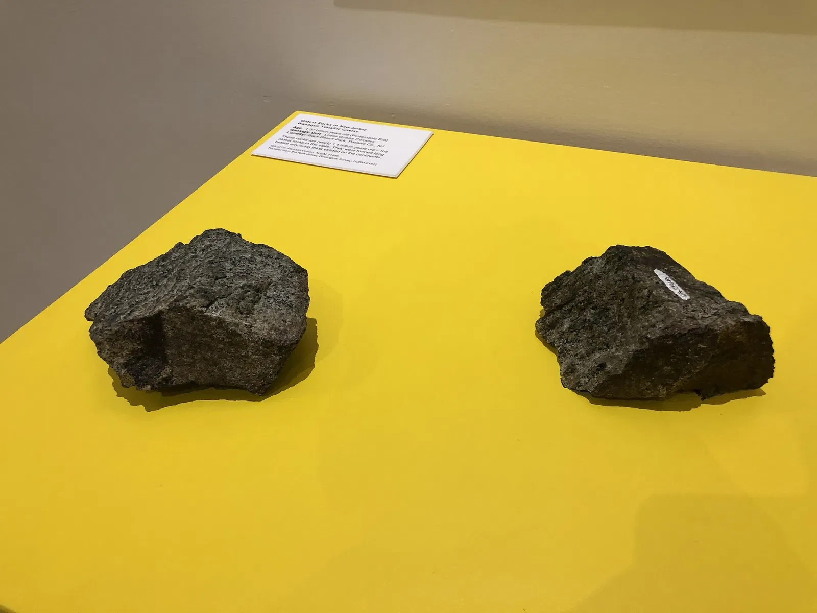 New Jersey State Museum