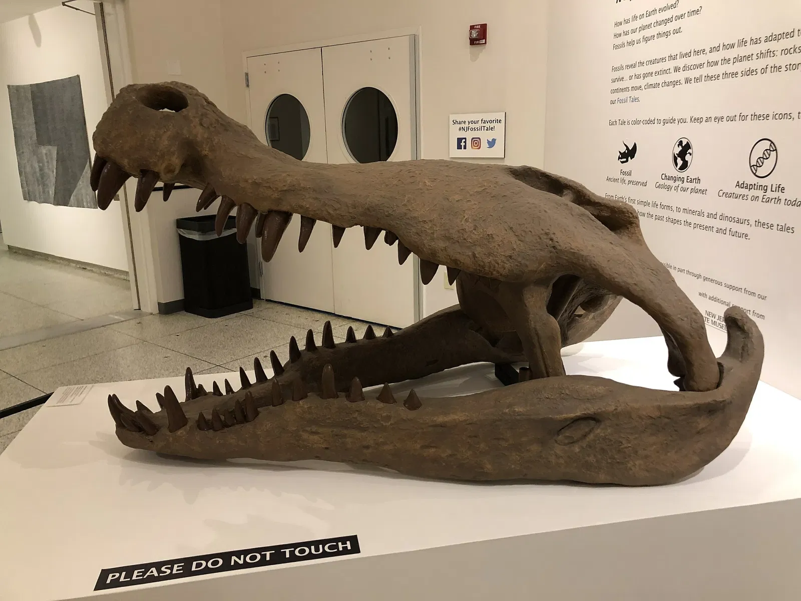 New Jersey State Museum