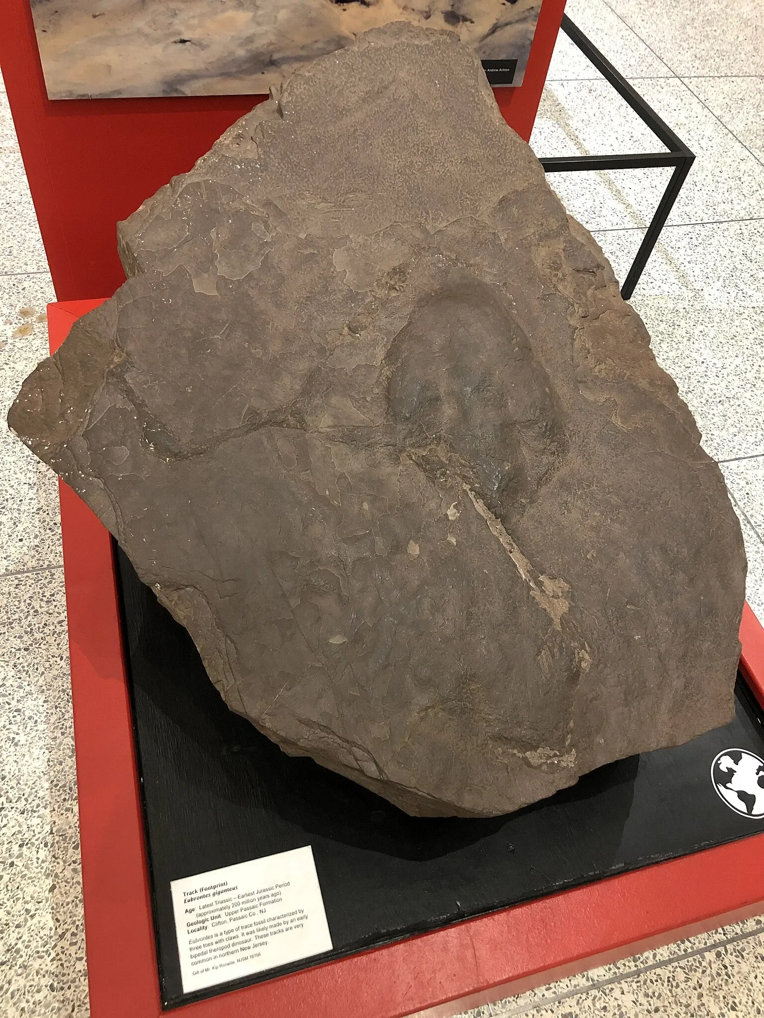 New Jersey State Museum