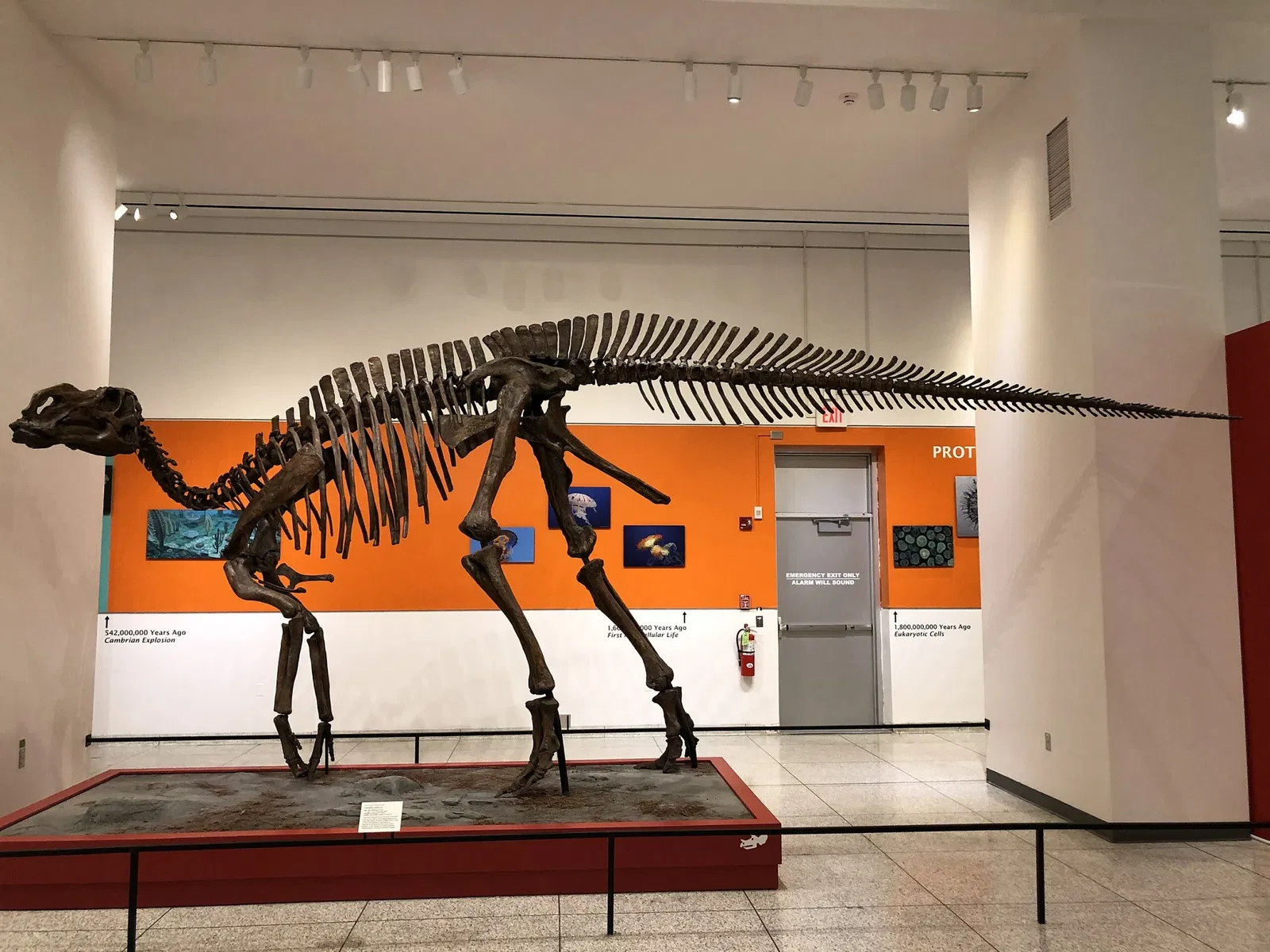 New Jersey State Museum