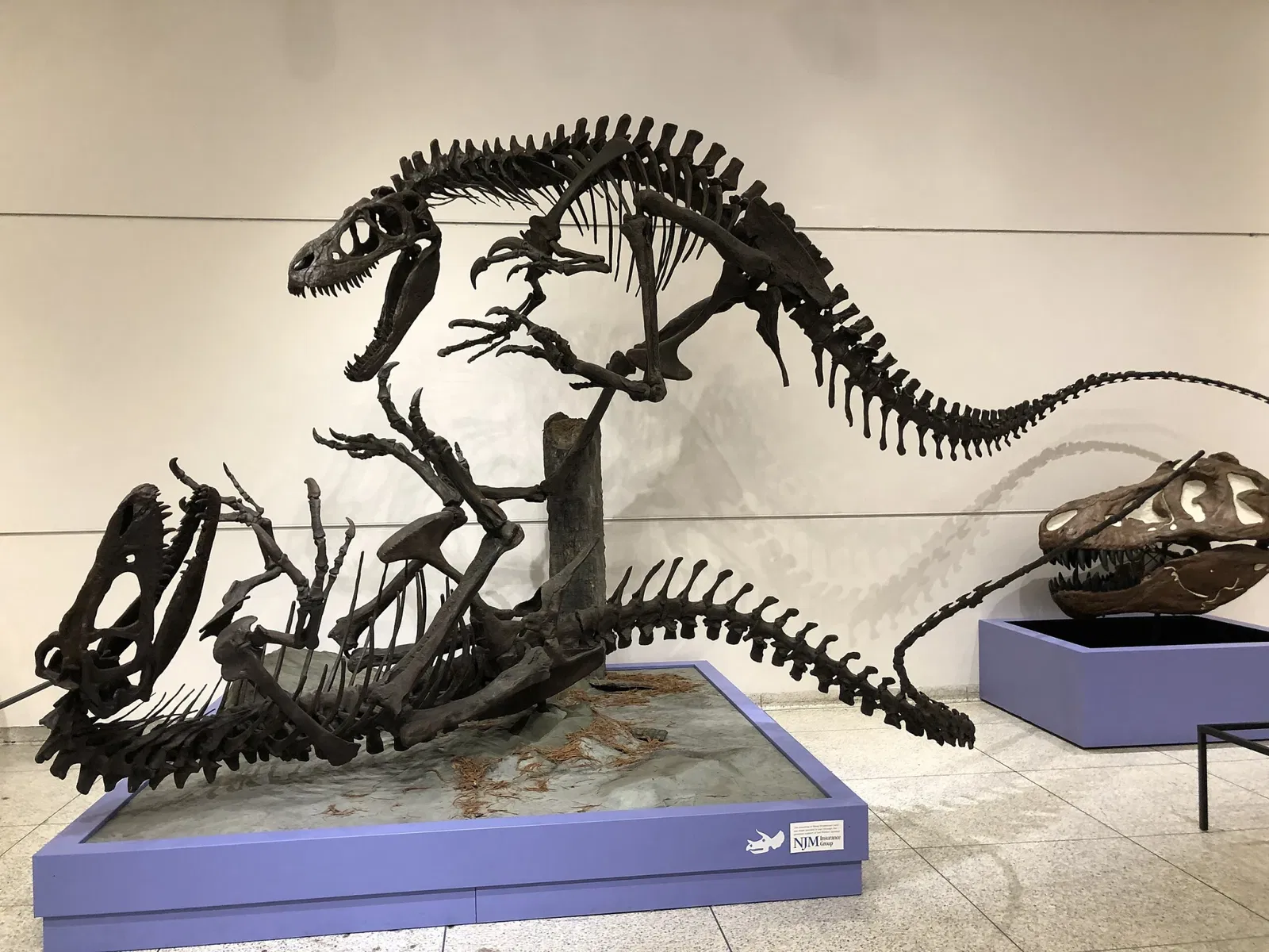 New Jersey State Museum