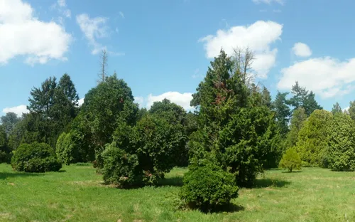 Versailles-Chèvreloup Arboretum
