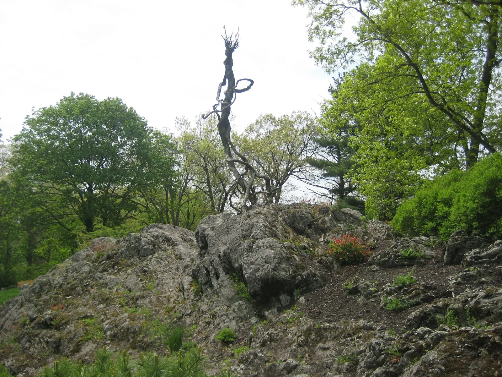 DeCordova Sculpture Park and Museum