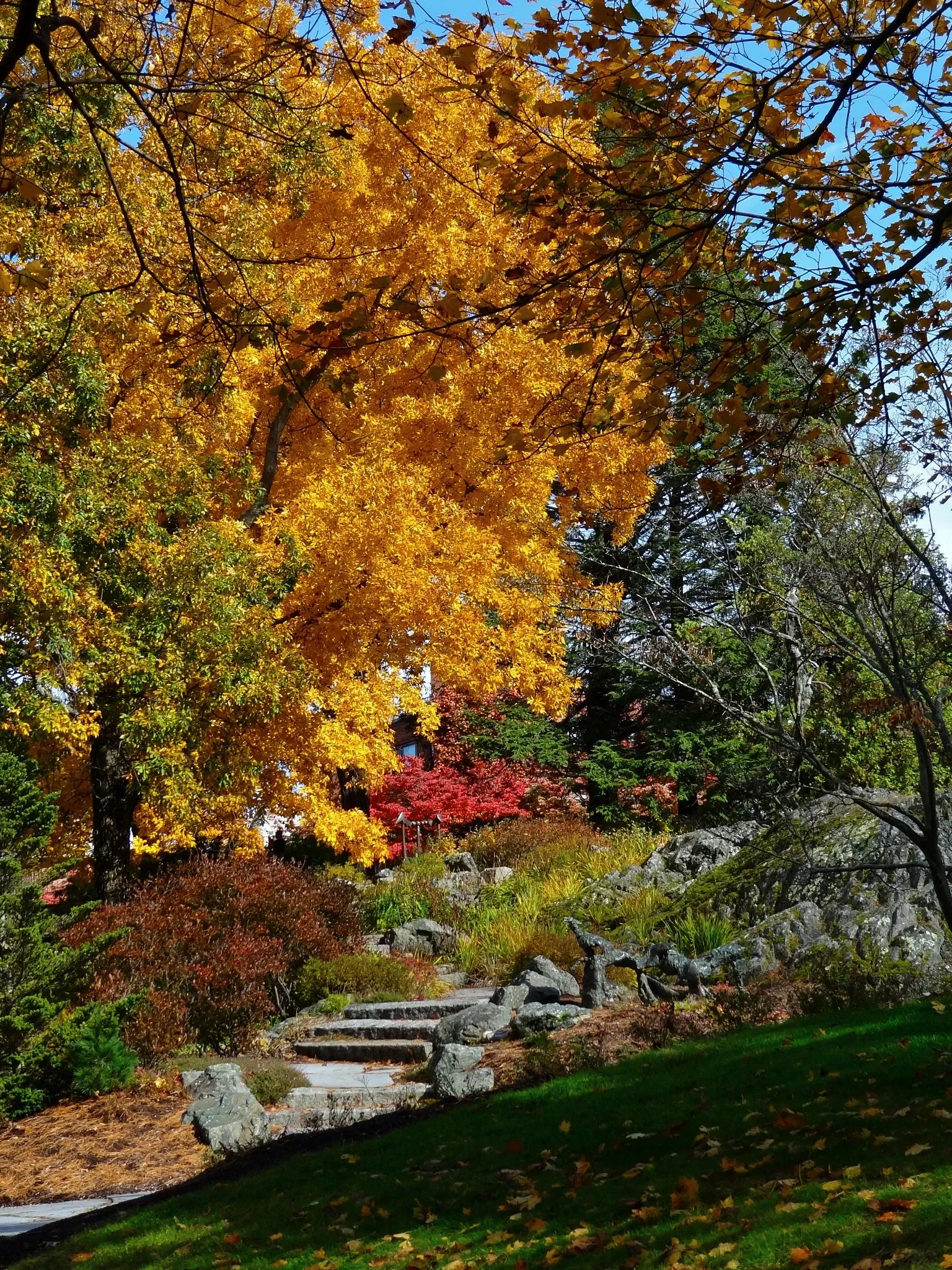 DeCordova Sculpture Park and Museum