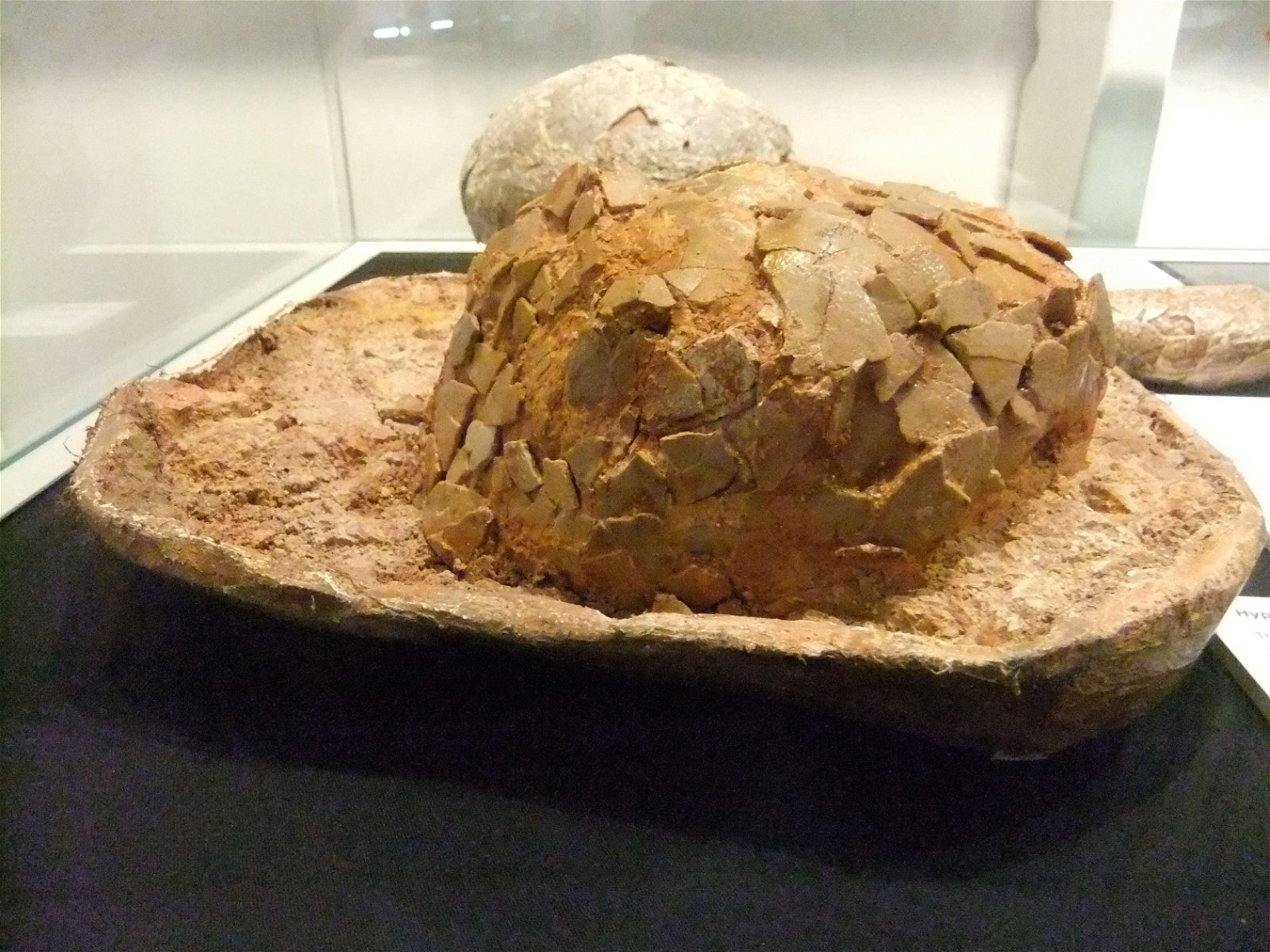 Wrexham County Borough Museum and Archives