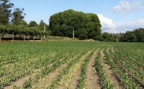 Paços de Ferreira Urban Park