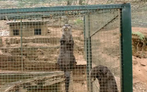 Ecological Park Serra da Lousã