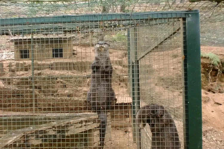 Ecological Park Serra da Lousã