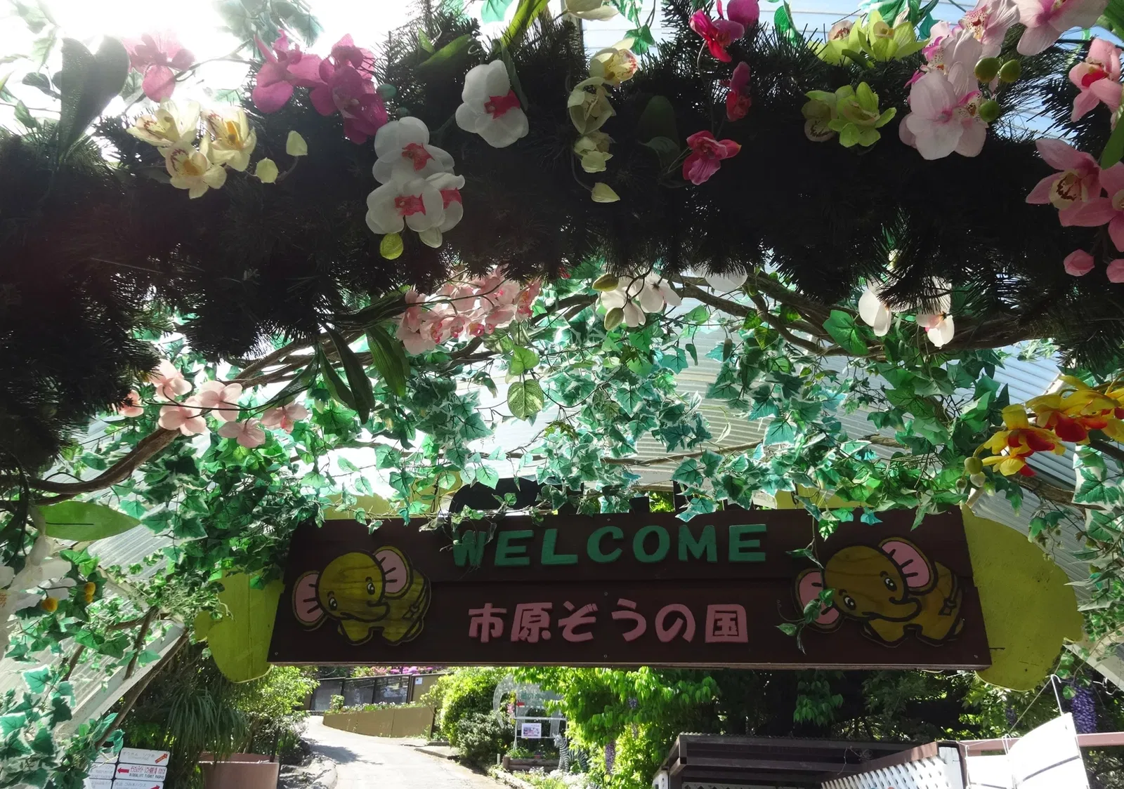 Ichihara Elephant Kingdom