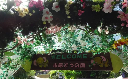 Ichihara Elephant Kingdom