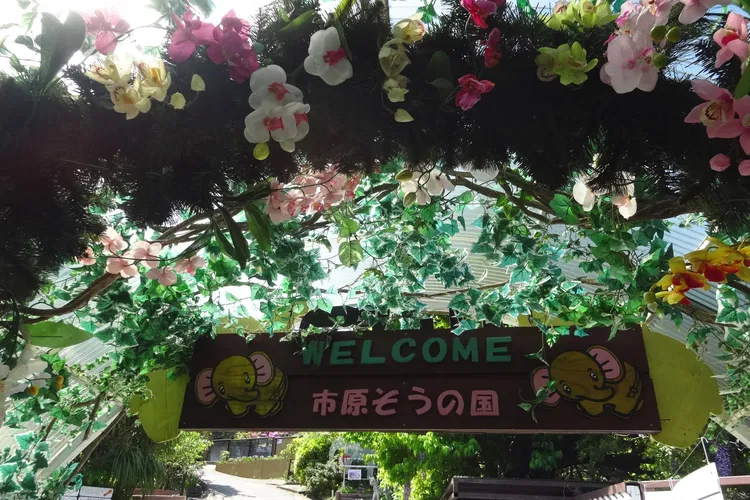 Ichihara Elephant Kingdom