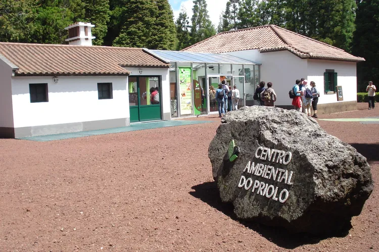 Reserva Florestal de Recreio da Cancela do Cinzeiro