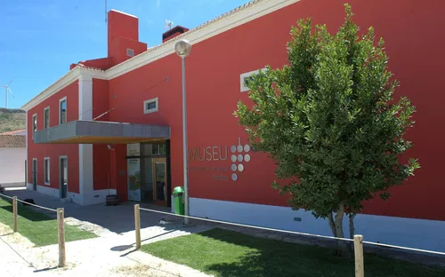 Wine and Vine Museum