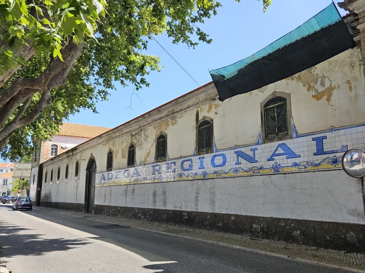 Regional de Colares Winery
