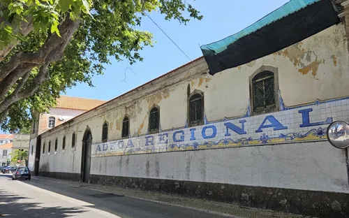 Regional de Colares Winery