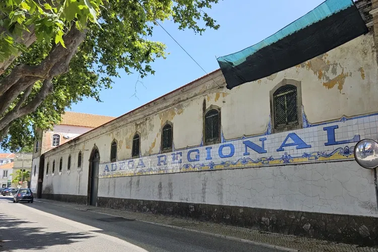 Regional de Colares Winery