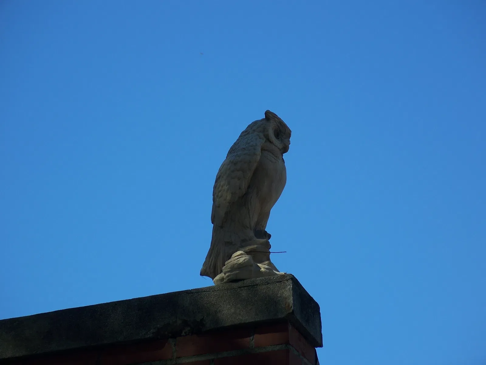Amelia Island Museum of History
