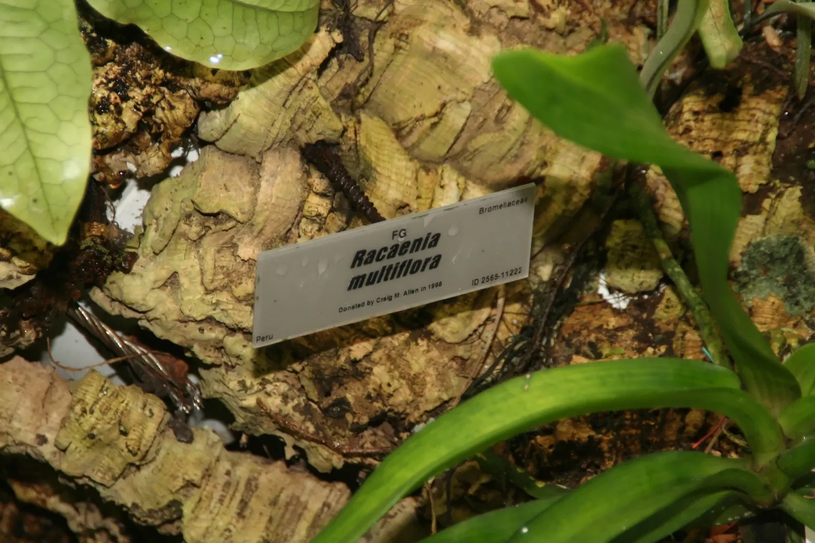 Fairchild Tropical Botanic Garden