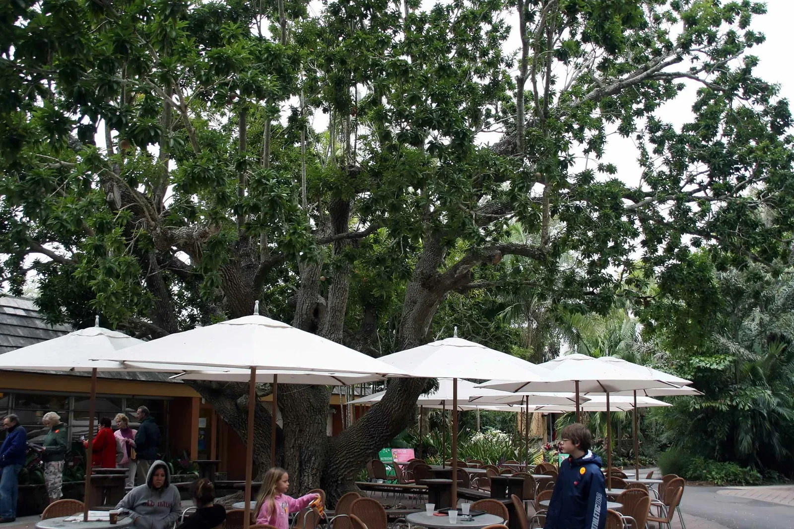 Jardin botanique tropical Fairchild