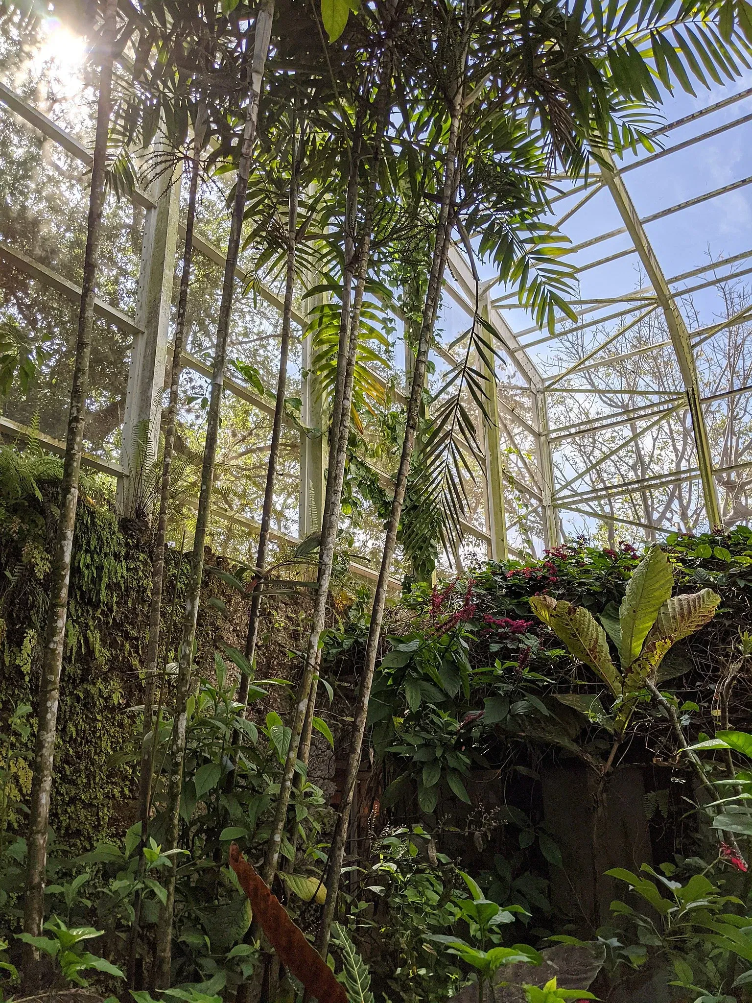 Jardin botanique tropical Fairchild